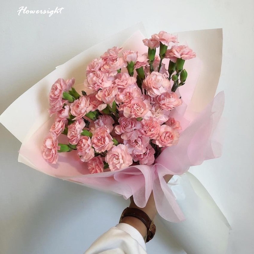 Bó hoa cẩm chướng mini