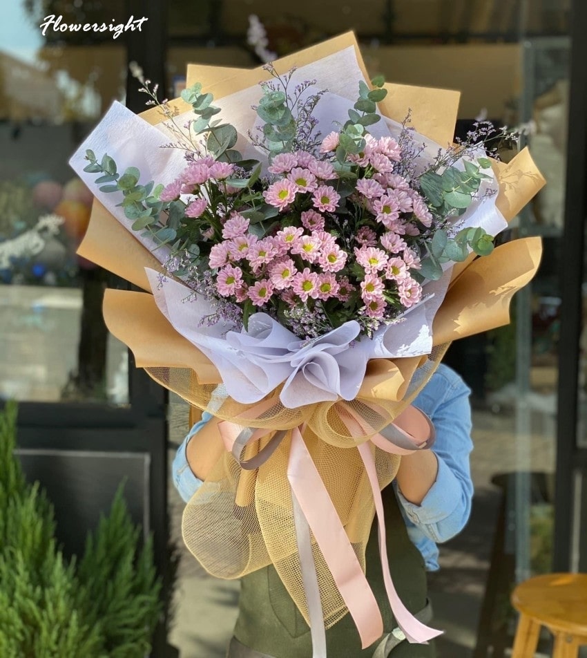 Hoa cúc họa mi hồng tượng trưng cho một tình yêu, sự dịu dàng và lãng mạn