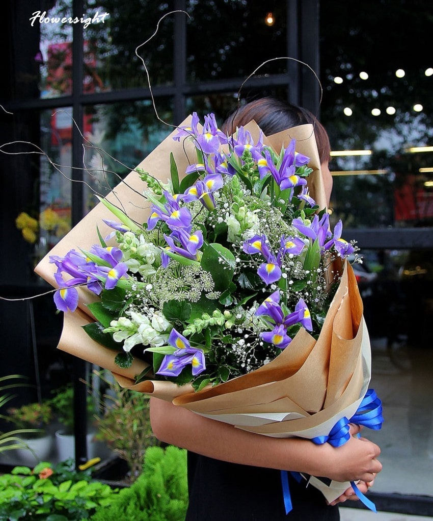 Hoa diên vĩ xanh - loài hoa tượng trưng cho sự kiêu hãnh