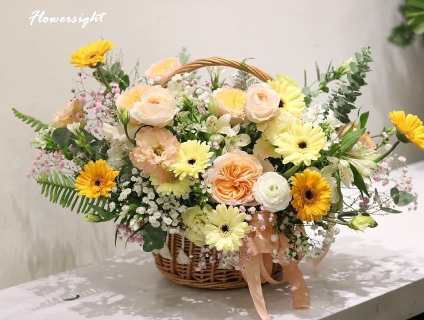 Giỏ hoa đồng tiền xinh xắn chúc mừng tân gia