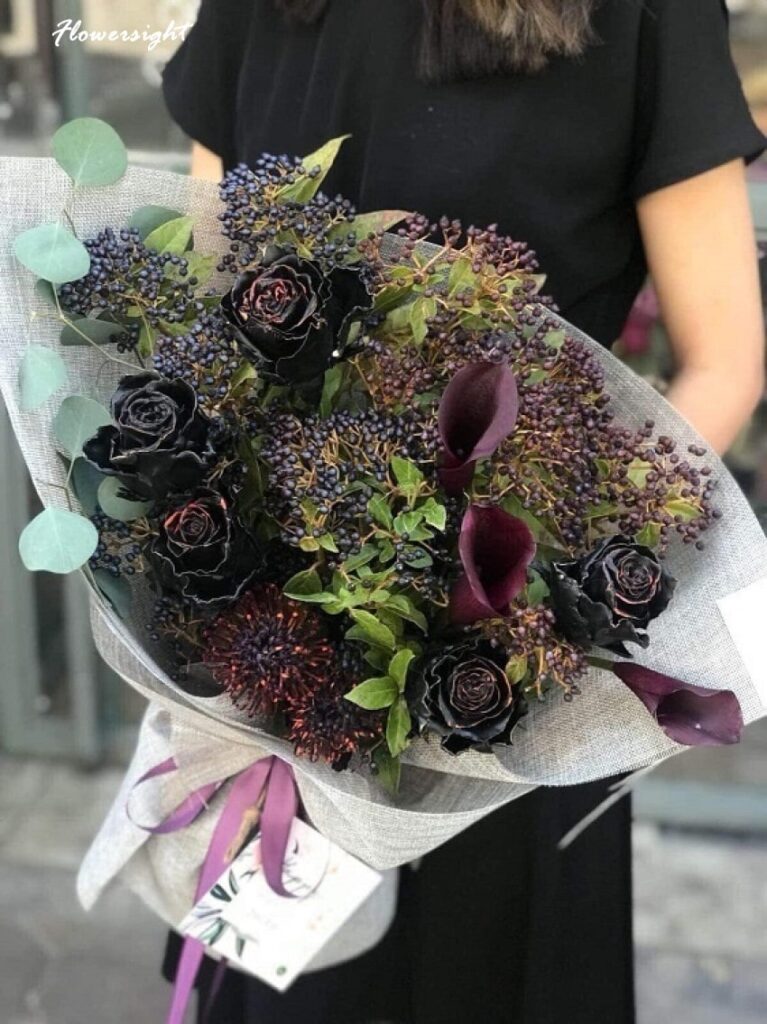 Hoa hồng đen được trồng duy nhất ở Halfeti, Thổ Nhĩ Kỳ