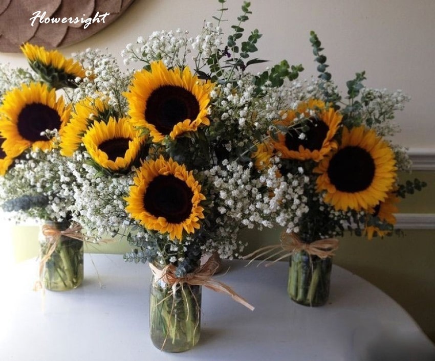 Hoa hướng dương có thể để được một thời gian ngắn khi thắp hương