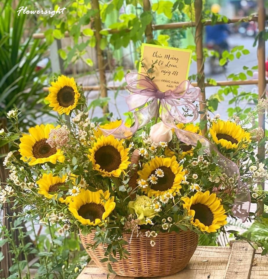 Hoa hướng dương dùng để chúc mừng