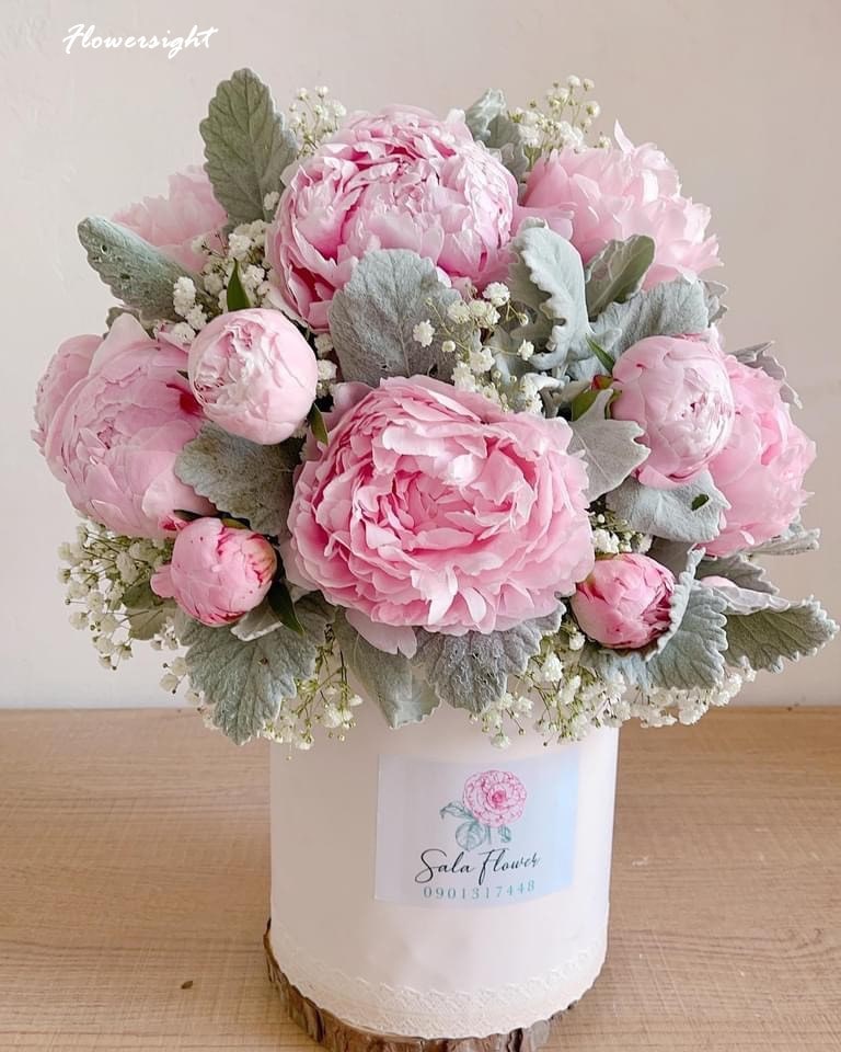 Hoa mẫu đơn là biểu tượng cho sự giàu có, thịnh vượng và sắc đẹp