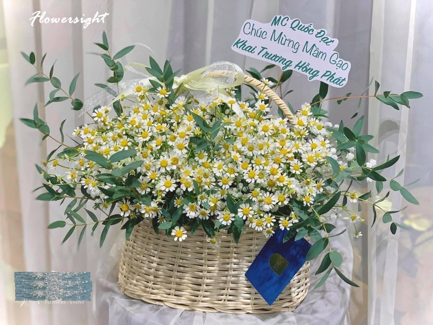 Lẵng hoa cúc họa mi tại Dalat Hasfarm