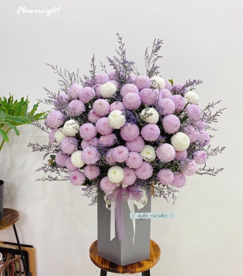 Hoa cúc pingpong còn tượng trưng cho sự viên mãn và đủ đầy trong cuộc sống