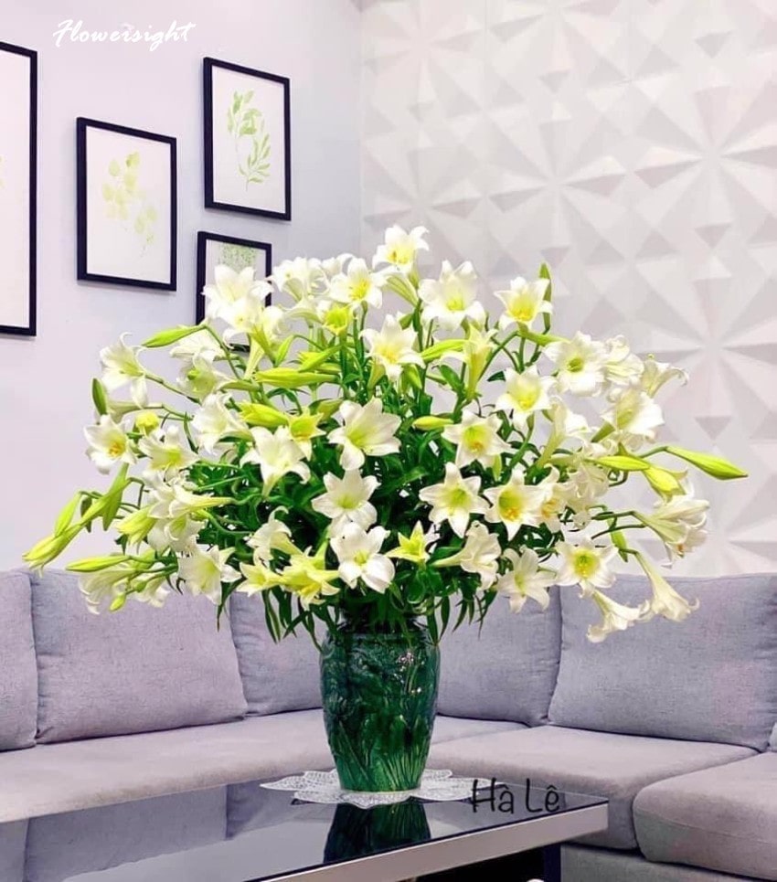 Lọ hoa loa kèn đẹp