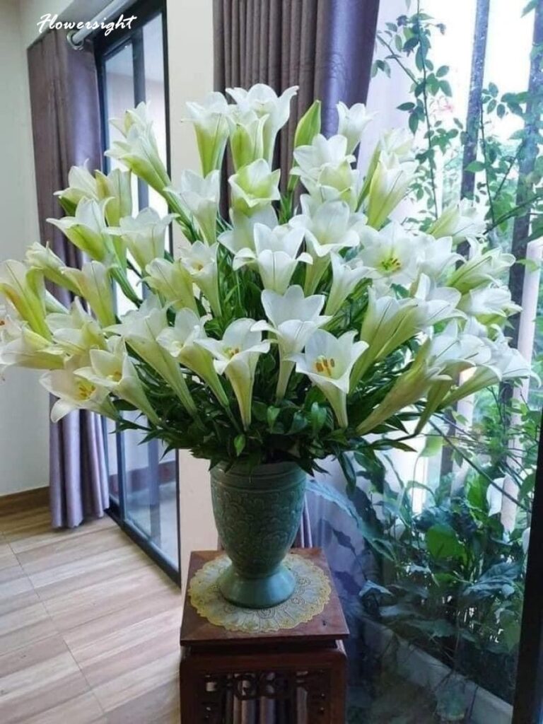 Mẫu cắm hoa loa kèn