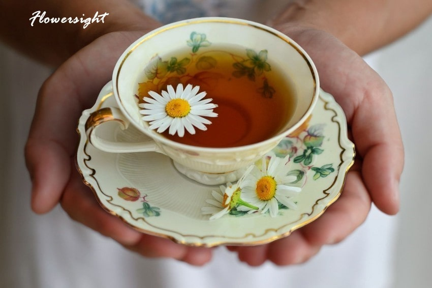 Vị thuốc quý điều trị bệnh lý cơ xương khớp.