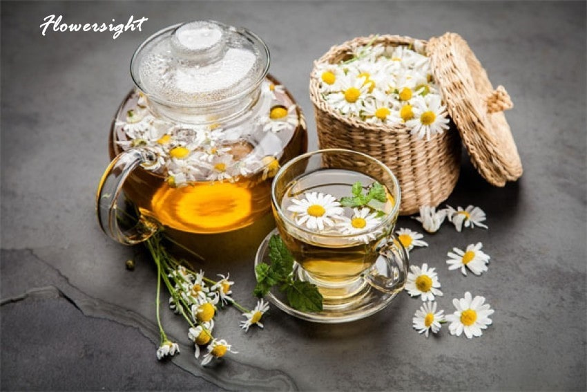 Vị thuốc quý trong y học dân gian và y học hiện đại.