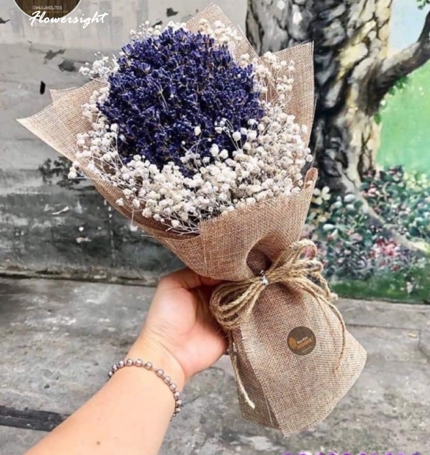 Hoa Violet - loài hoa tượng trưng cho sự bình yên