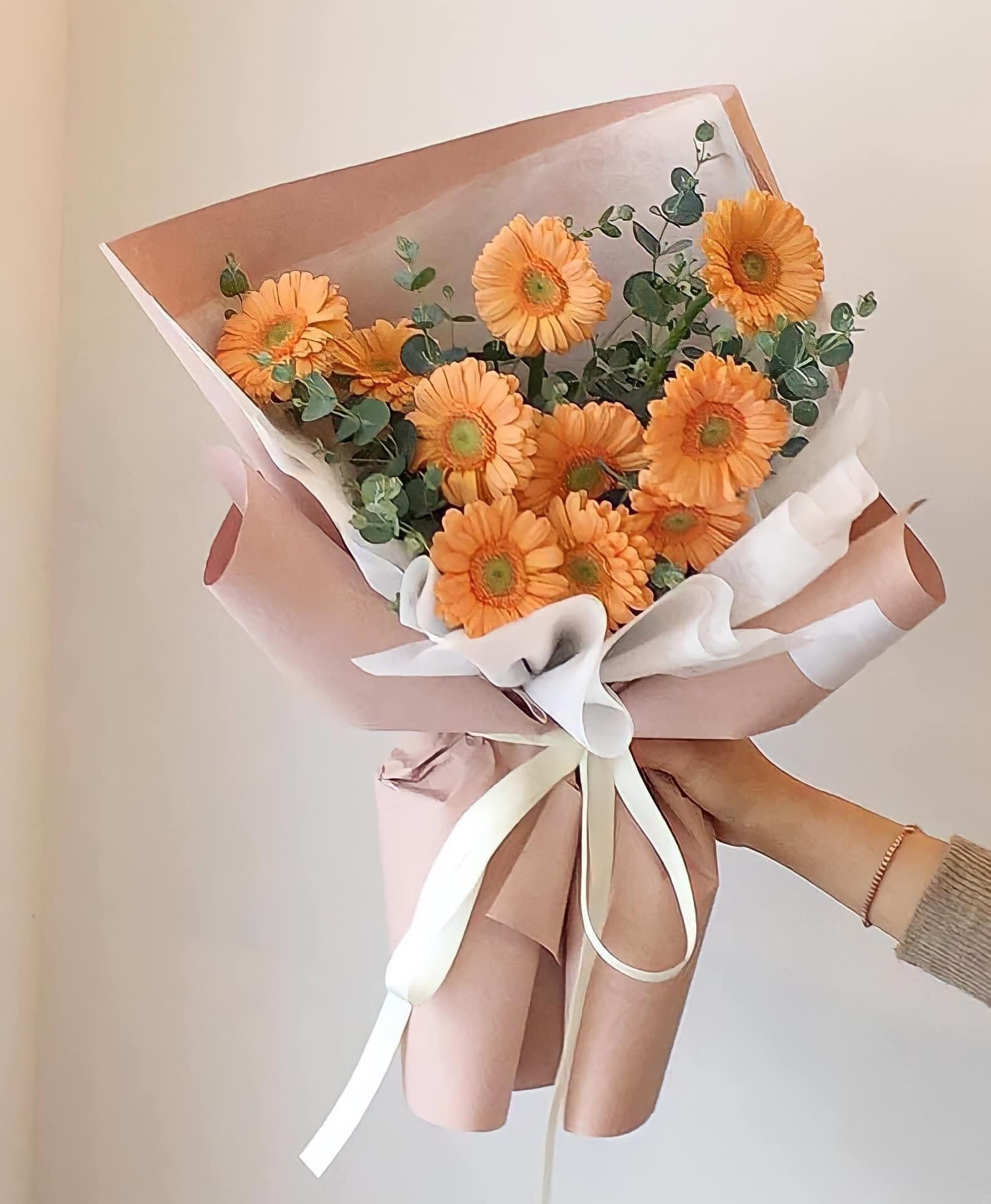 Hoa đồng tiền màu cam