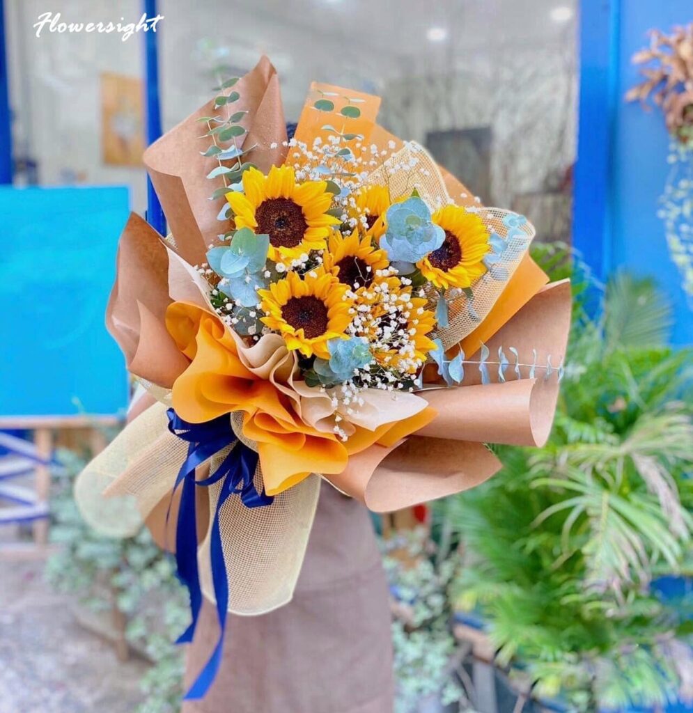 hoa hướng dương - đóa hoa mặt trời