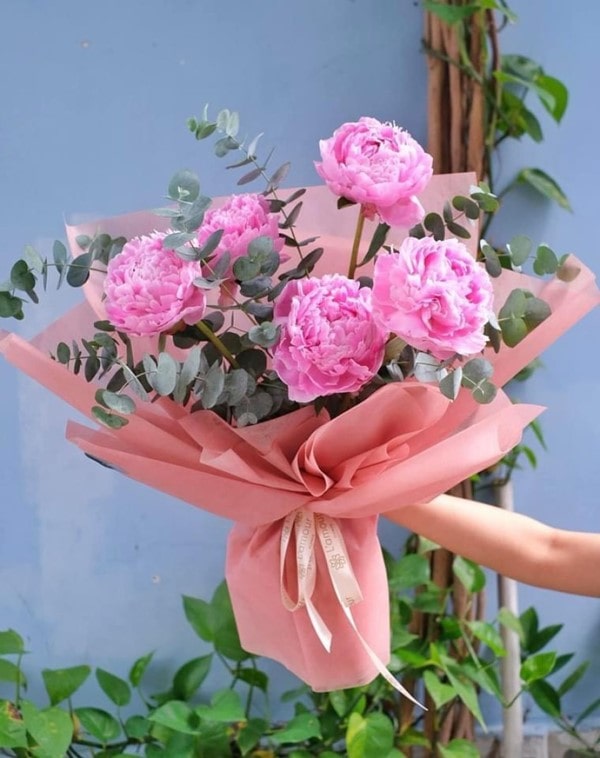 Giá hoa mẫu đơn giản dị sẽ luôn được cập nhật thường xuyên tại FlowerSight