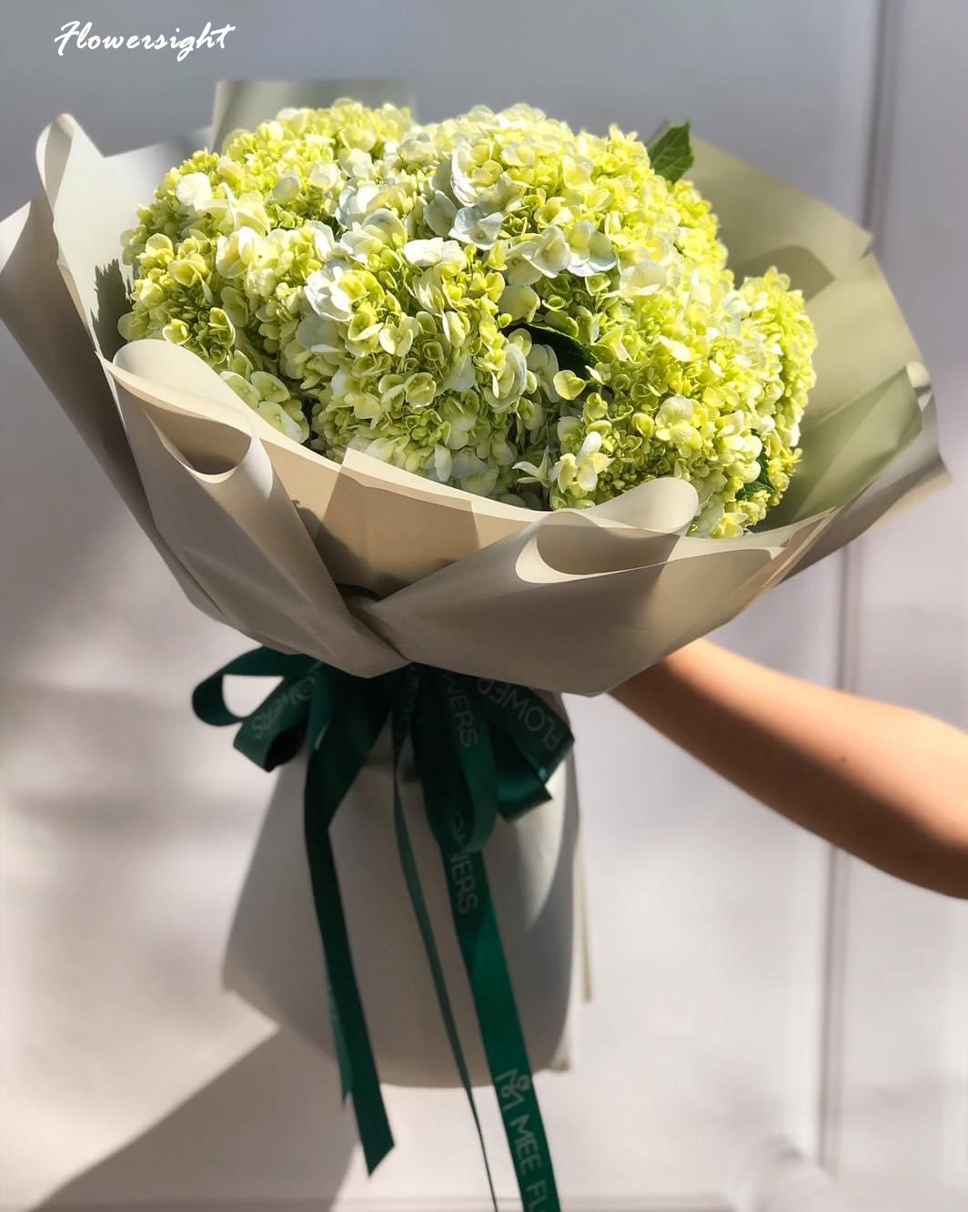 Bó hoa cẩm tú cầu xanh lá