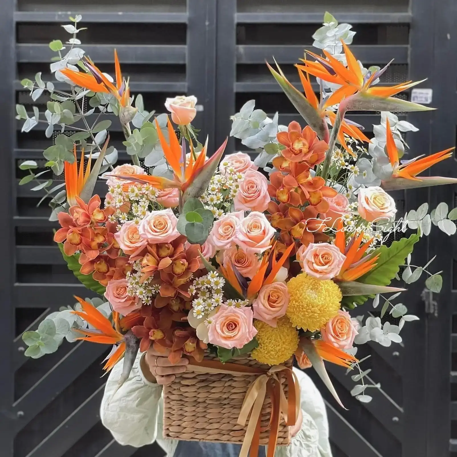 Gió hoa tươi Sự hòa mình