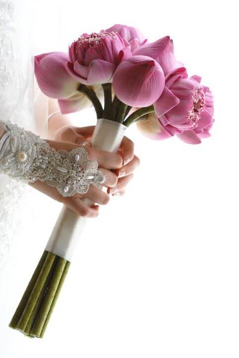 hoa cưới sen hồng