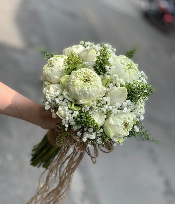 Hoa sen trắng thể hiện tình yêu thuần khiết