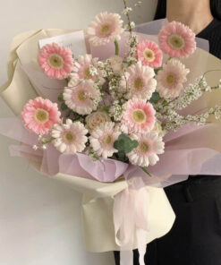 Bó hoa đồng tiền hồng