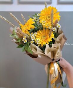 Bó hoa đồng tiền vàng