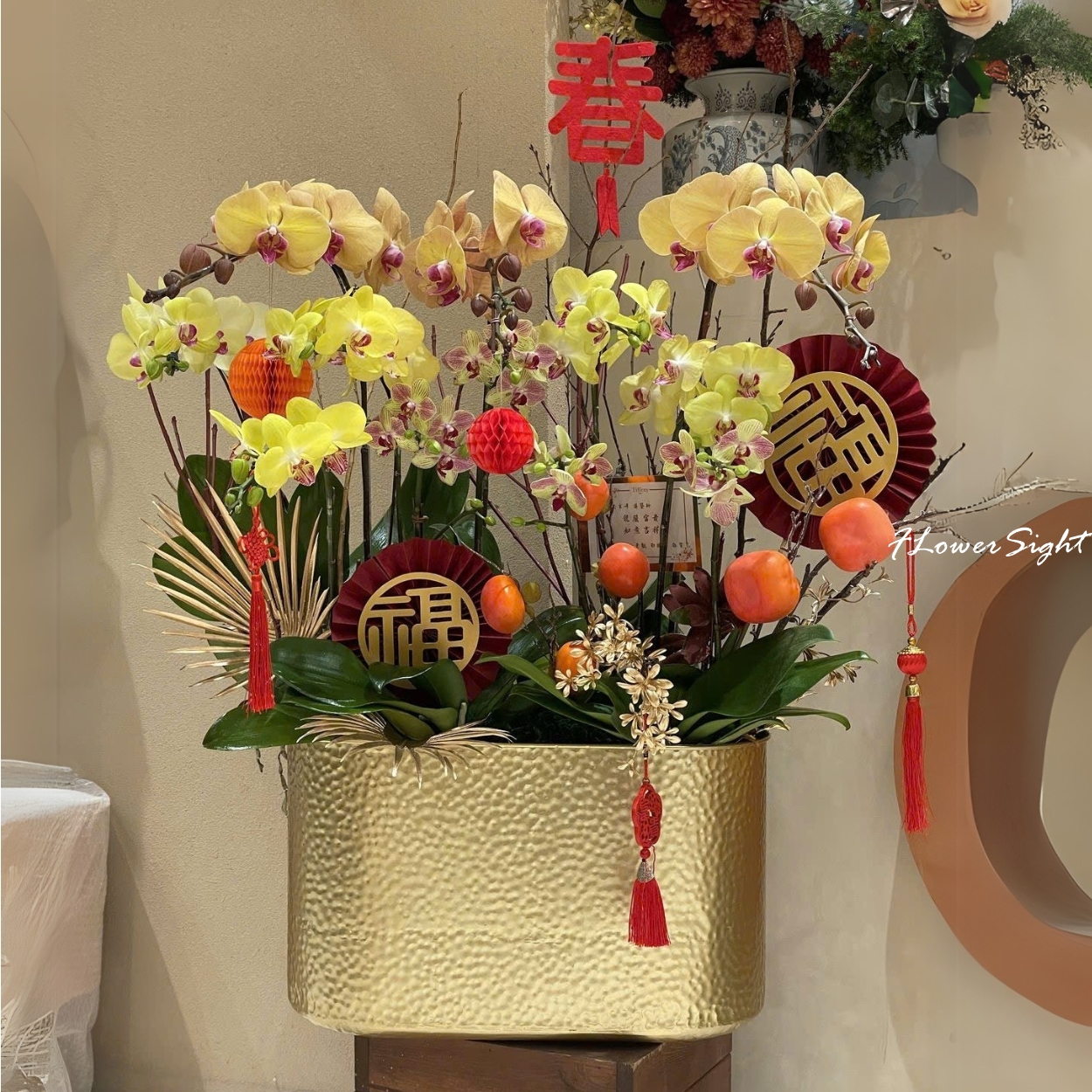 Chậu hoa lan chưng tết