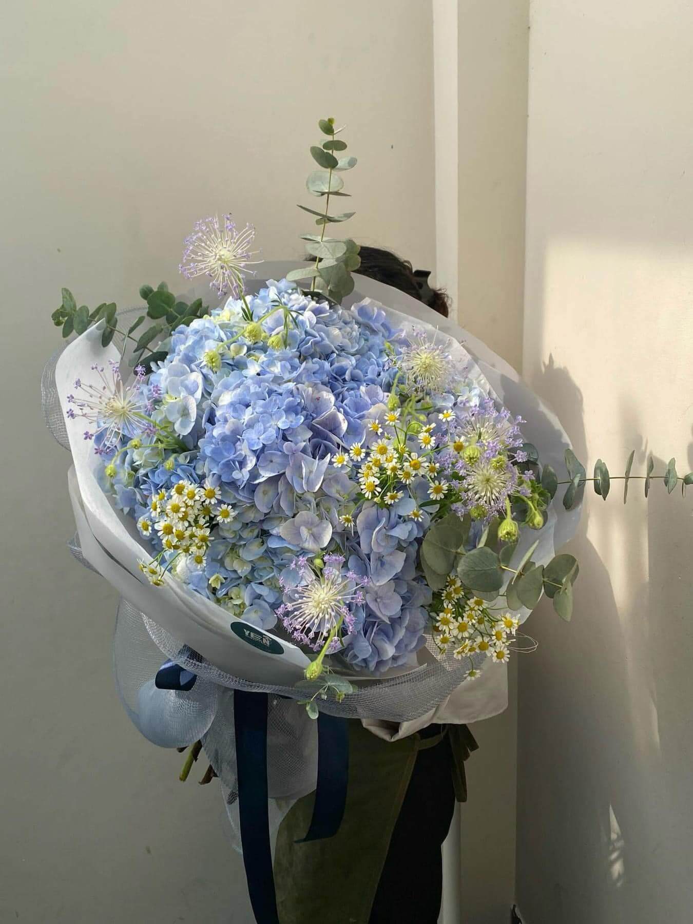 một bó hoa cẩm tú cầu khổng lồ