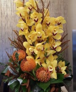 chậu hoa địa lan 00