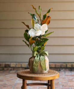 Chậu hoa mộc lan đẹp 00