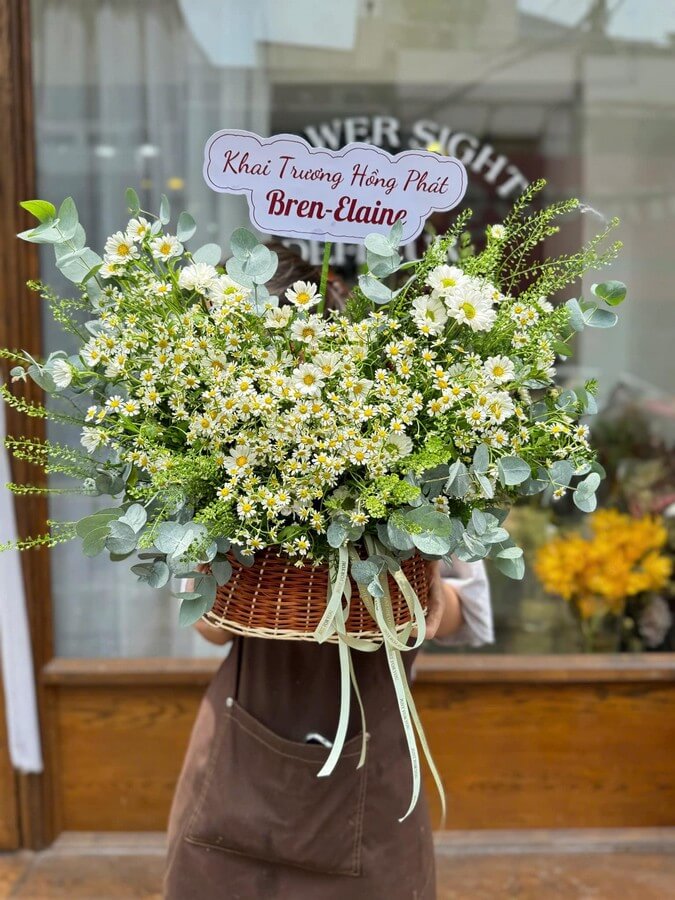 giỏ hoa cúc tana
