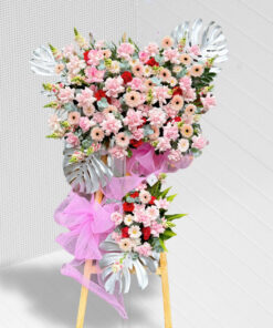 Kệ hoa đồng tiền