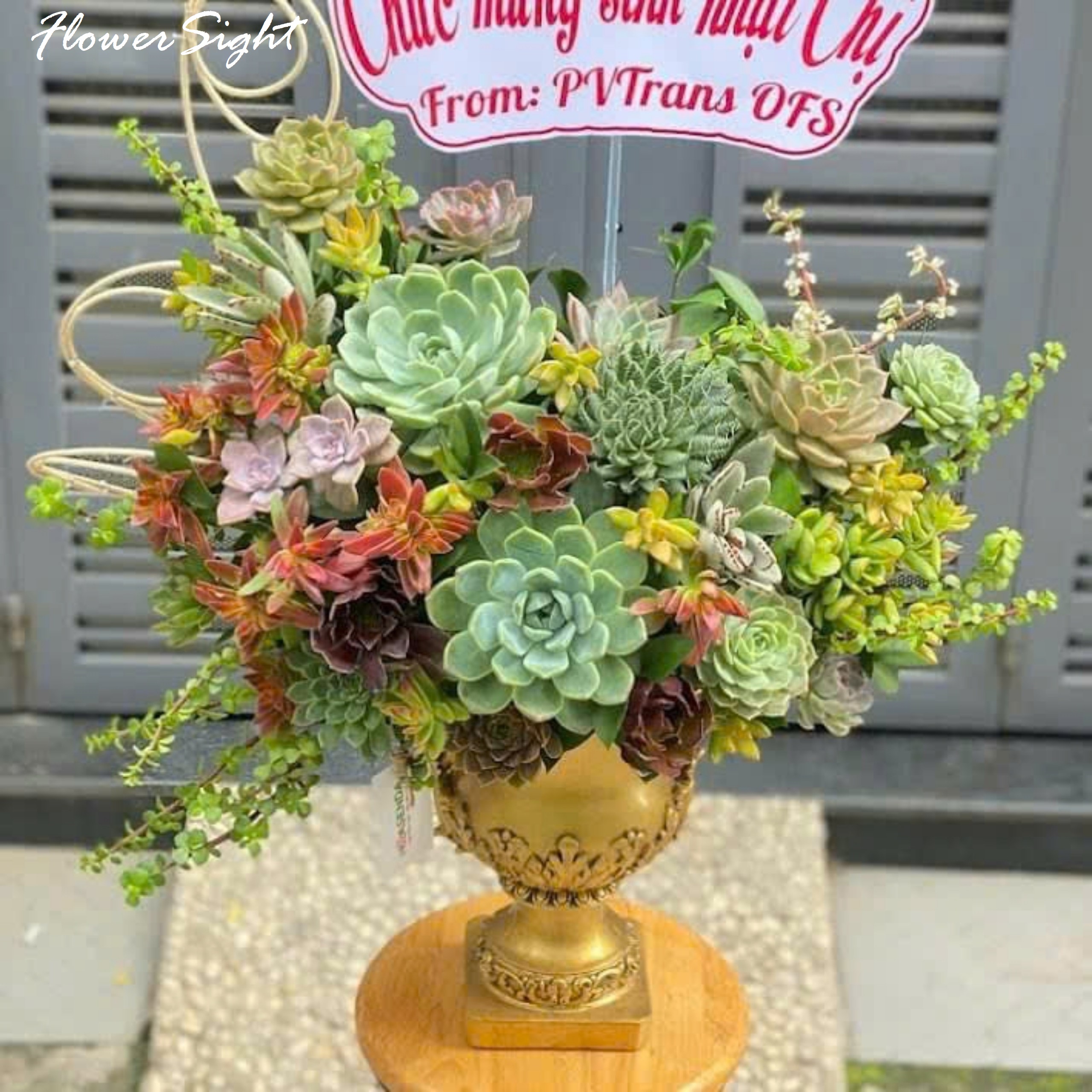 lẵng hoa sen đá đẹp