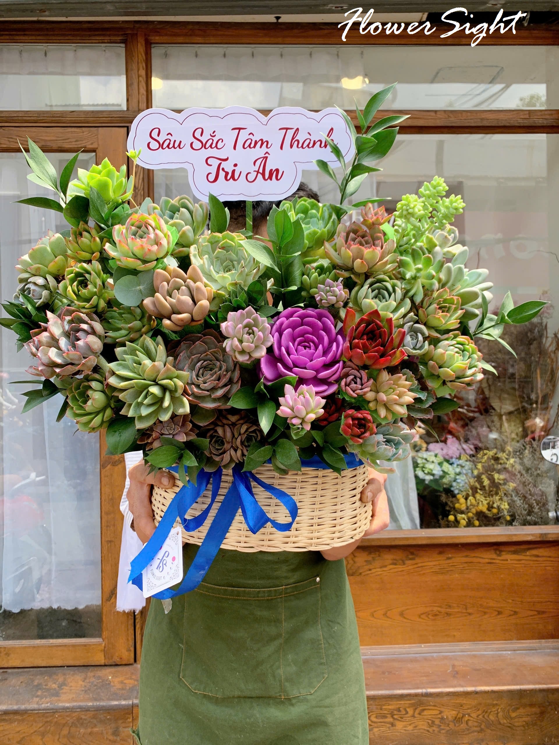 Lẵng hoa sen đá tri ân