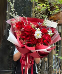 Hoa 20/10 Ecuador Roses