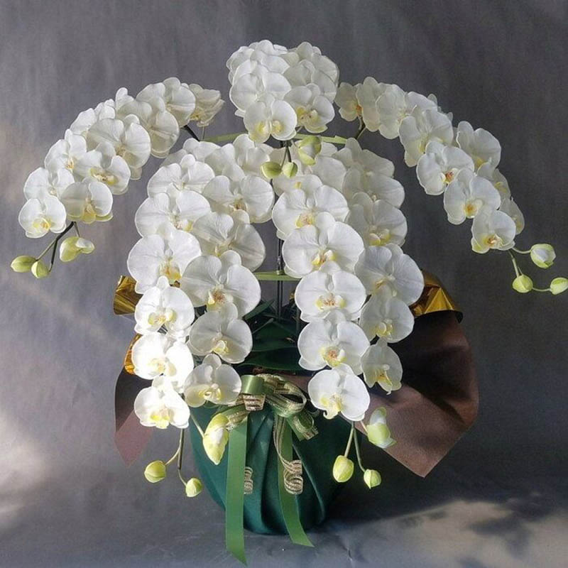 Hoa mừng thọ ông bà sang trọng